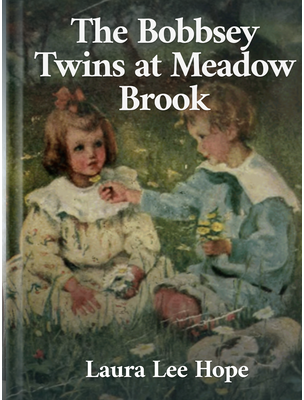 The Bobbsey Twins at Meadow Brook