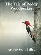 The Tale of Reddy Woodpecker, Arthur Scott Bailey